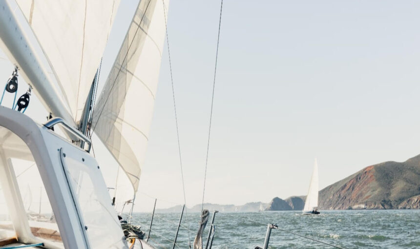 In the Realm of Tigers: A Jungle Safari Experience